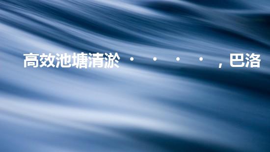 高效池塘清淤，巴洛仕設(shè)備助您一臂之力